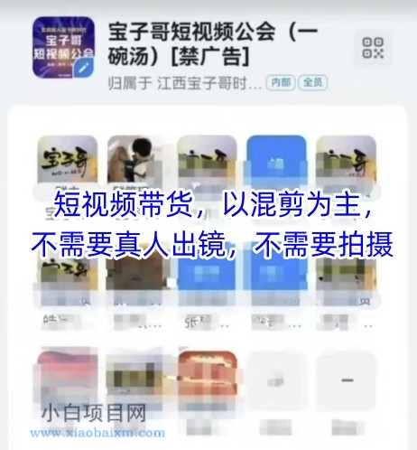 【匠心小白】宝子哥头部团队短视频带货，以混剪为主，不需要真人出镜，不需要拍摄【更新26年3月】-小白项目分享网