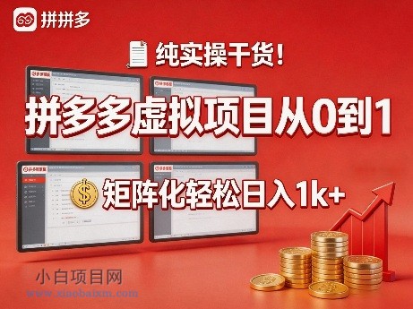 【匠心小白】纯实操干货！拼多多虚拟项目从0到1，矩阵化轻松日入1k+【揭秘】-小白项目分享网