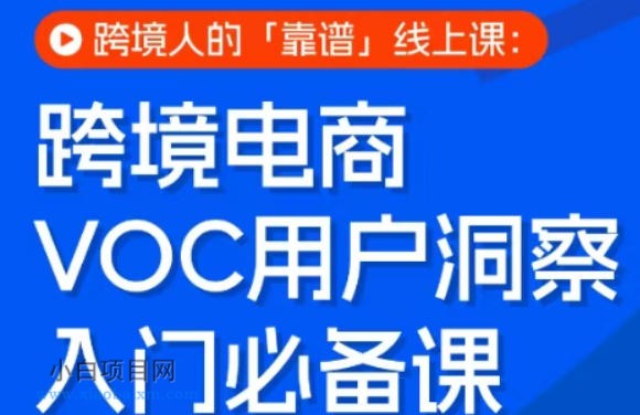 【匠心小白】跨境电商VOC用户洞察入门必备课，跨境人的靠谱线上课-小白项目分享网