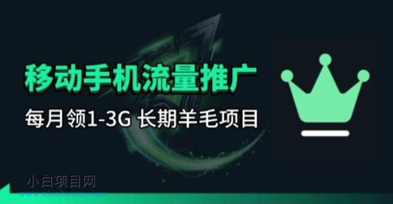 【匠心小白】手机流量领取推广_每月一轮，刚需类的长期项目-小白项目分享网