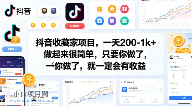 抖音收藏家项目，一天200-1k+做起来很简单，只要你做了，就一定会有收益-小白项目分享网