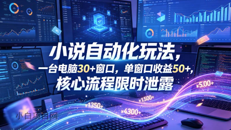 小说挂G自动化玩法,一台电脑30+窗口,单窗口收益50+,核心流程限时泄露【揭秘】