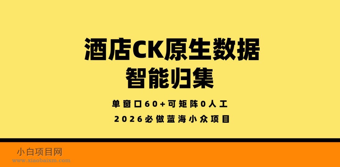 酒店CK原生数据智能归集，单窗口60+可矩阵0人工，2026必做蓝海小众项目【揭秘】-小白项目分享网