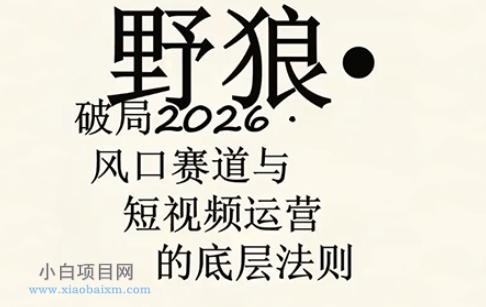 野狼团队·多平台实操运营课,覆盖AI口播、服装、好物、漫剪等热门玩法(更新4月29日)