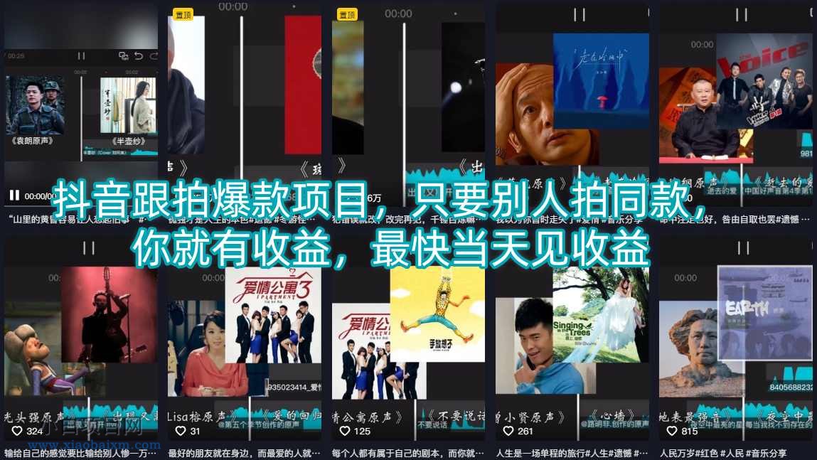 抖音跟拍爆款项目,只要别人拍同款,你就有收益,最快当天见收益
