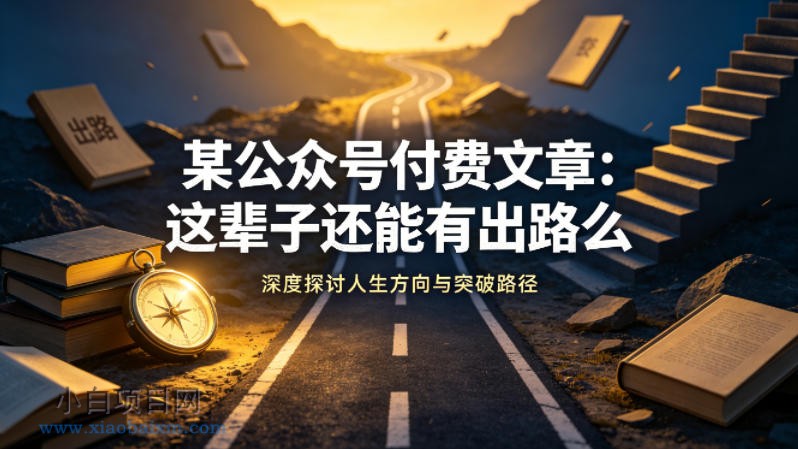 某公众号付费文章：这辈子还能有出路么-小白项目分享网