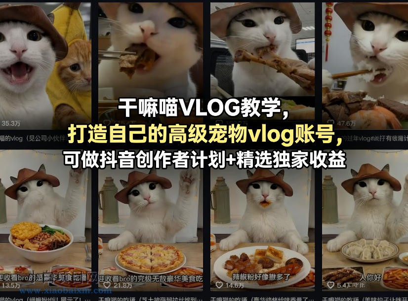 【小鲁分享网】干嘛喵VLOG教学,打造自己的高级宠物vlog账号,可做抖音创作者计划+精选独家收益