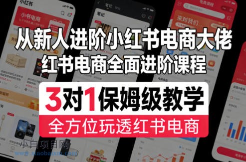 【匠心小白】从新人进阶小红书电商大佬，红书电商全面进阶课程，3对1保姆级教学，全方位玩透红书电商-小白项目分享网